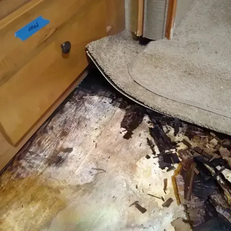 Best Wood Floor Water Damage Service in Mullica Hill, NJ